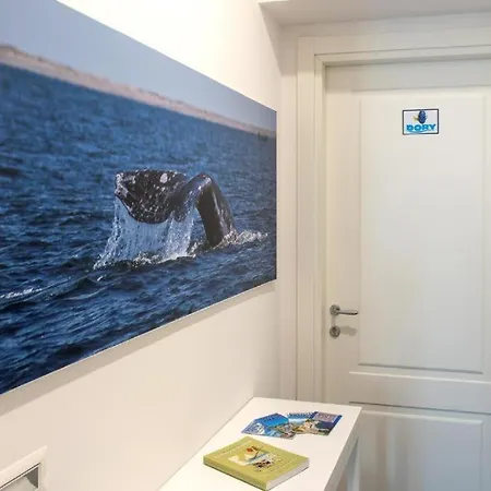 Suitesettepesciolini - Vacanze Nemo E Dory Appartement Salerno